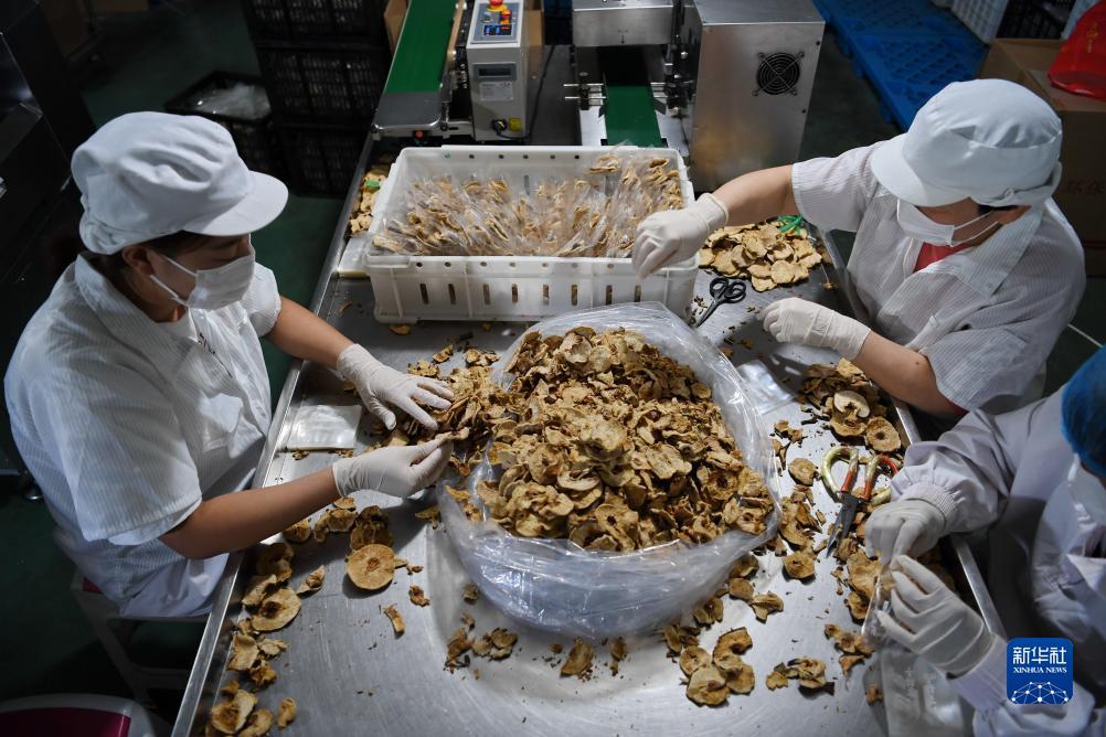 姚记官方网站